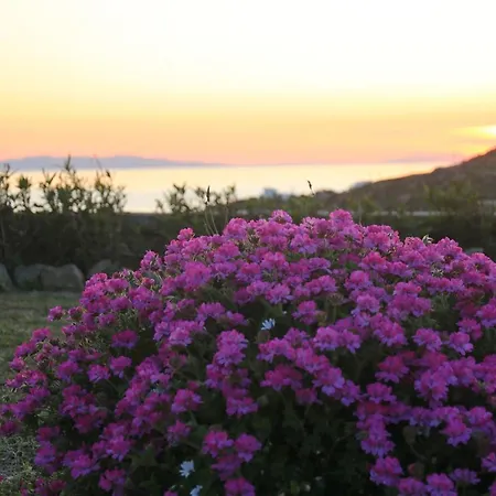 Paradisia Villa *