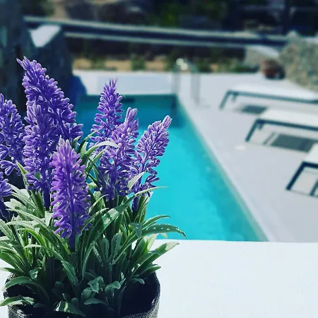 Paradisia Villa
