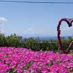 Paradisia Vila