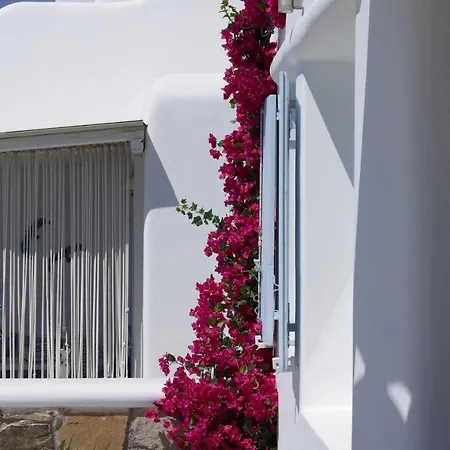 Paradisia Villa *