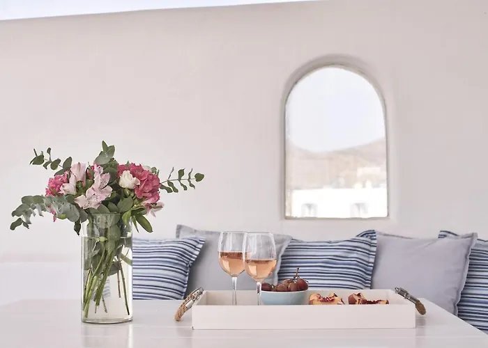 فيلة باراديسيا *