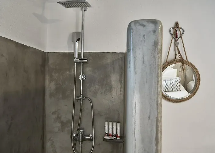 باراديسيا تورلوس