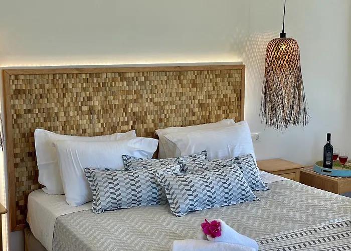 فيلة باراديسيا *