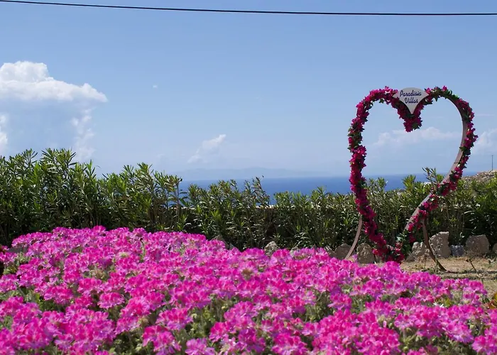 باراديسيا فيلة