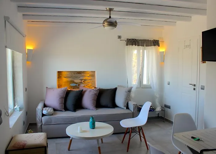 فيلة باراديسيا *