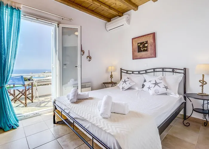 فيلة باراديسيا