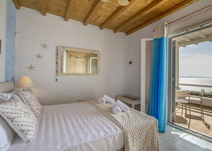 فيلة باراديسيا *