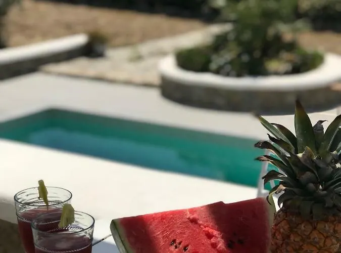 فيلة باراديسيا